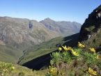 Jonkershoek Nature Reserve Western Cape