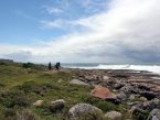 Walking on the Wild Coast