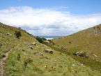 Wild Coast landscape