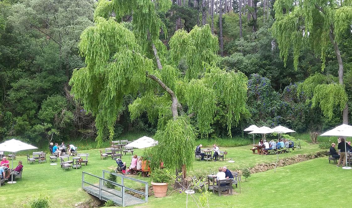 Picnic tables set up on a lawn at Eagle's Nest, surrounded by trees.