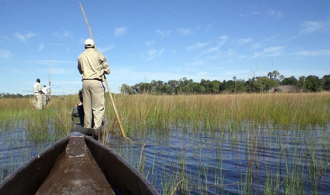 Traditional Mokoro Cruise Experience on Okavango Delta.