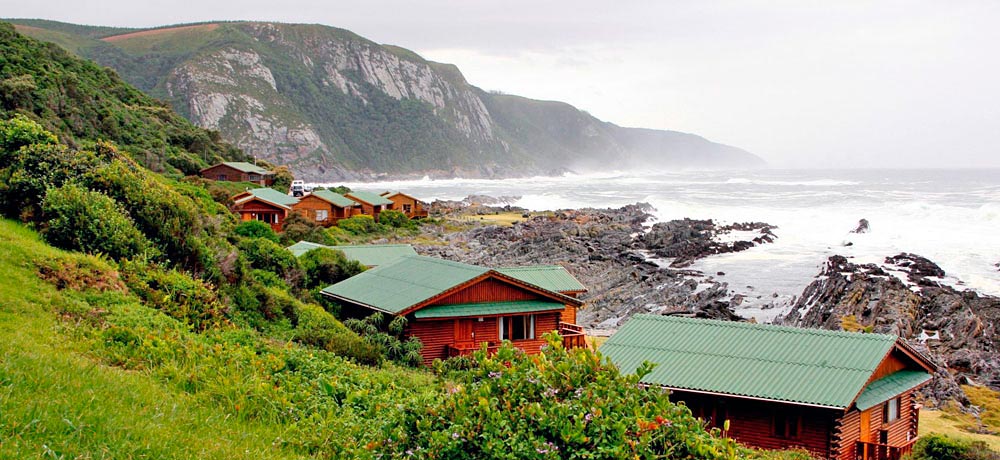 Tsitsikamma national park South Africa Tsitsikamma national park South Africa