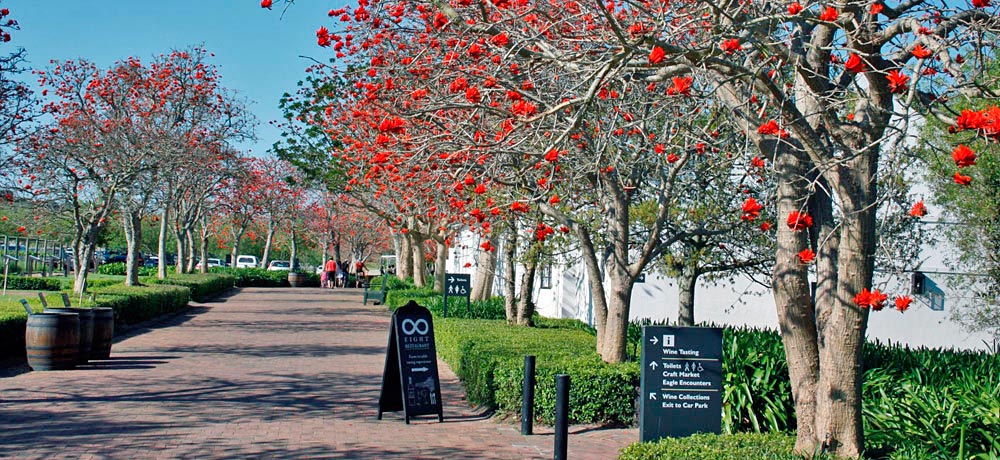 Spier wine estate winelands Spier wine estate winelands