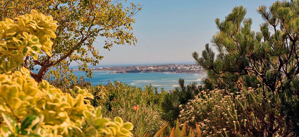 View onto Hermanus South Africa View onto Hermanus South Africa