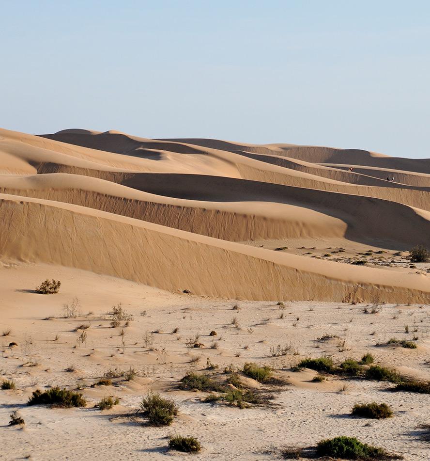 Namib Desert & Private Concession