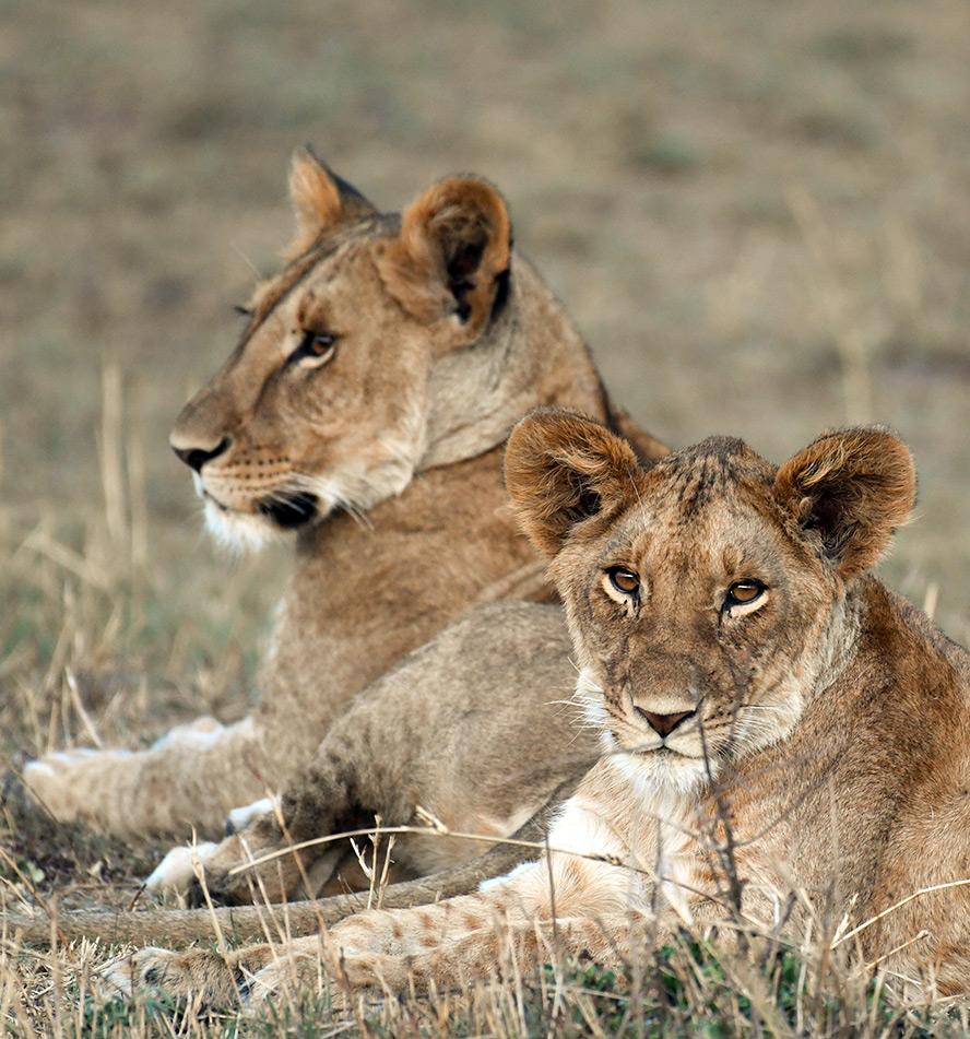 Pongola Game Reserve