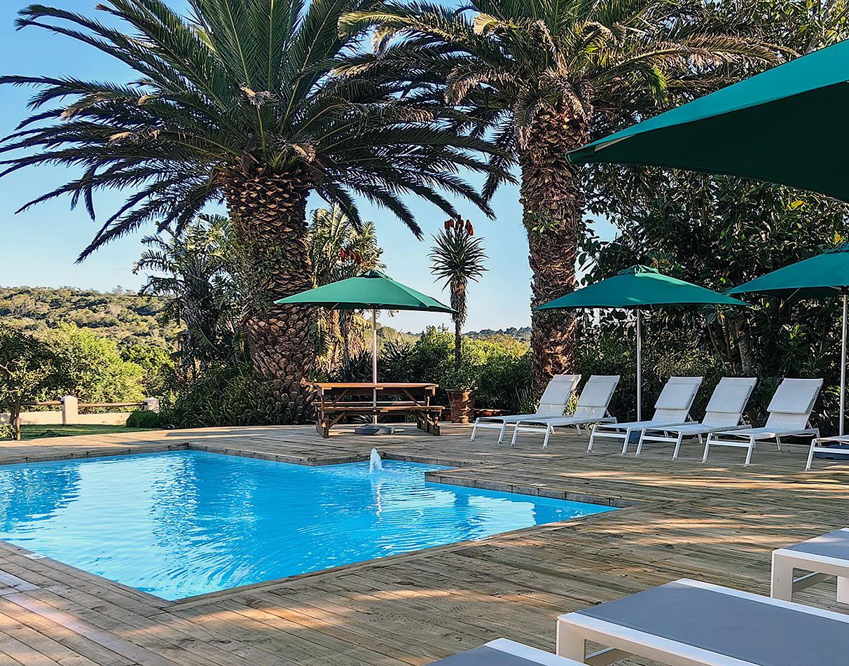 The pool deck at Oyster Bay Lodge with sun loungers, green umbrellas and palm trees overlooking the garden.