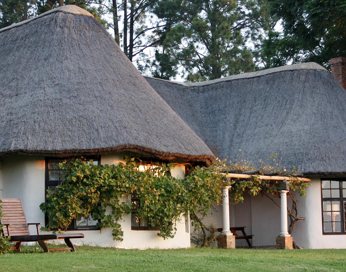 Two guest chalets at Antbear Eco Lodge.