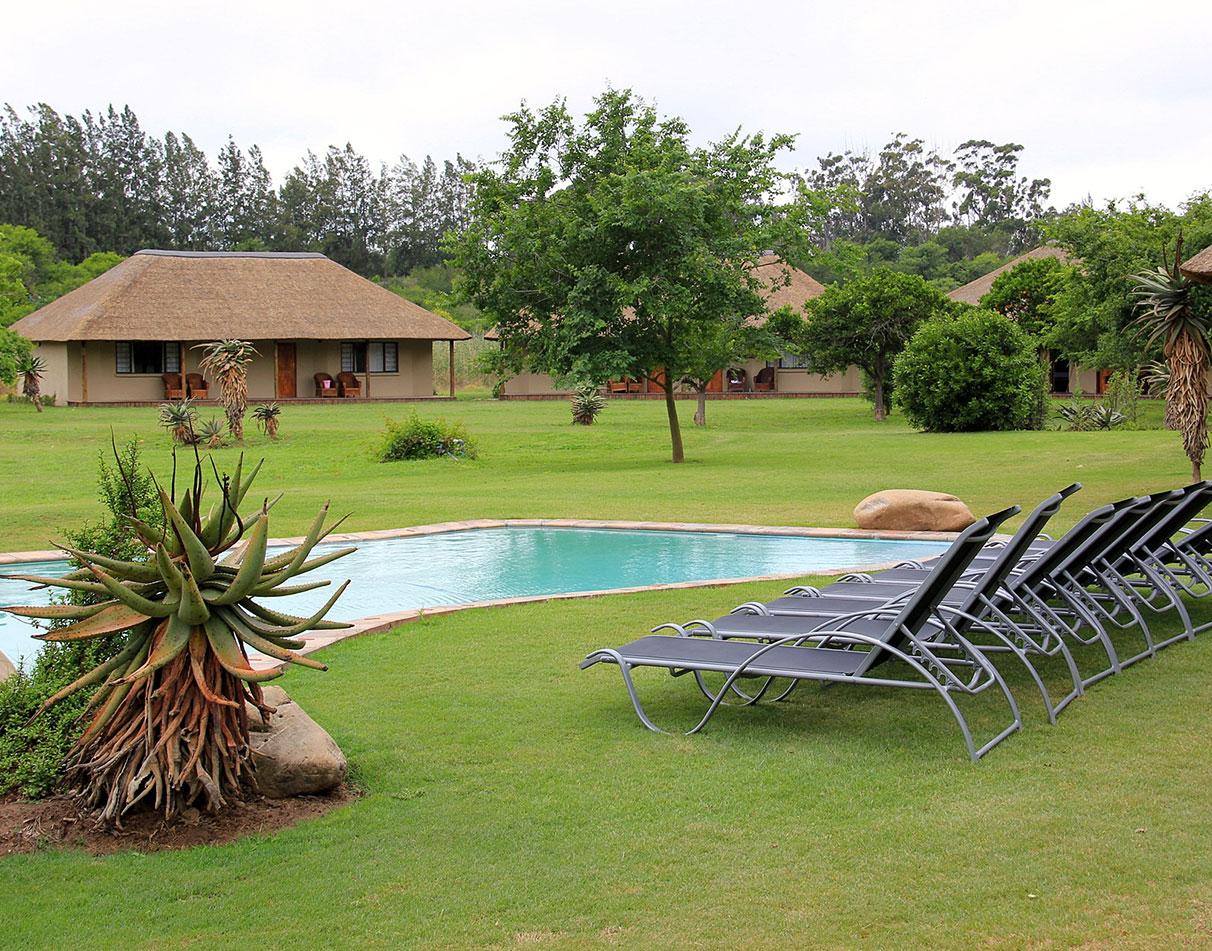 Pool area and garden at Chrislin African Lodge.