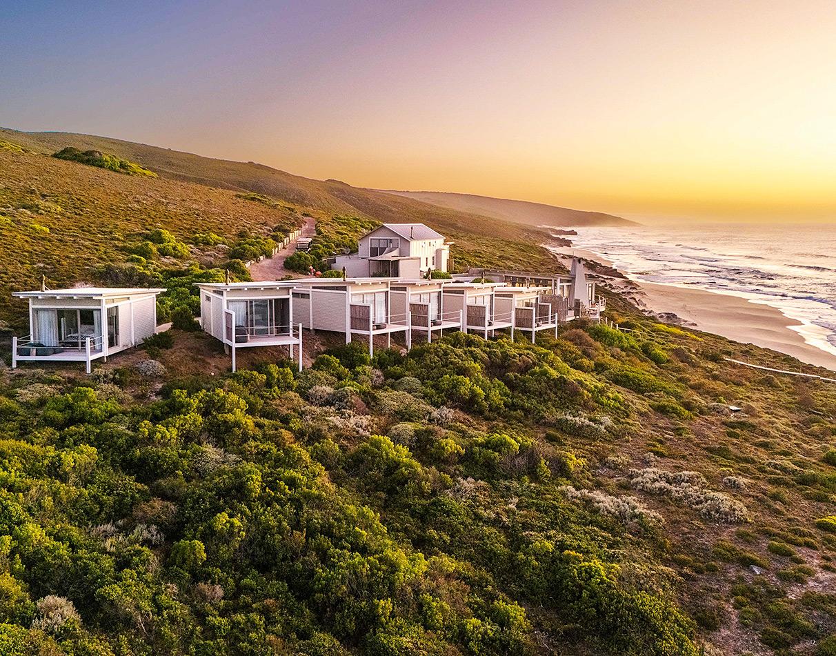 Lekkerwater Beach Lodge cottages perched on a fynbos hillside directly above the beach at sunset.