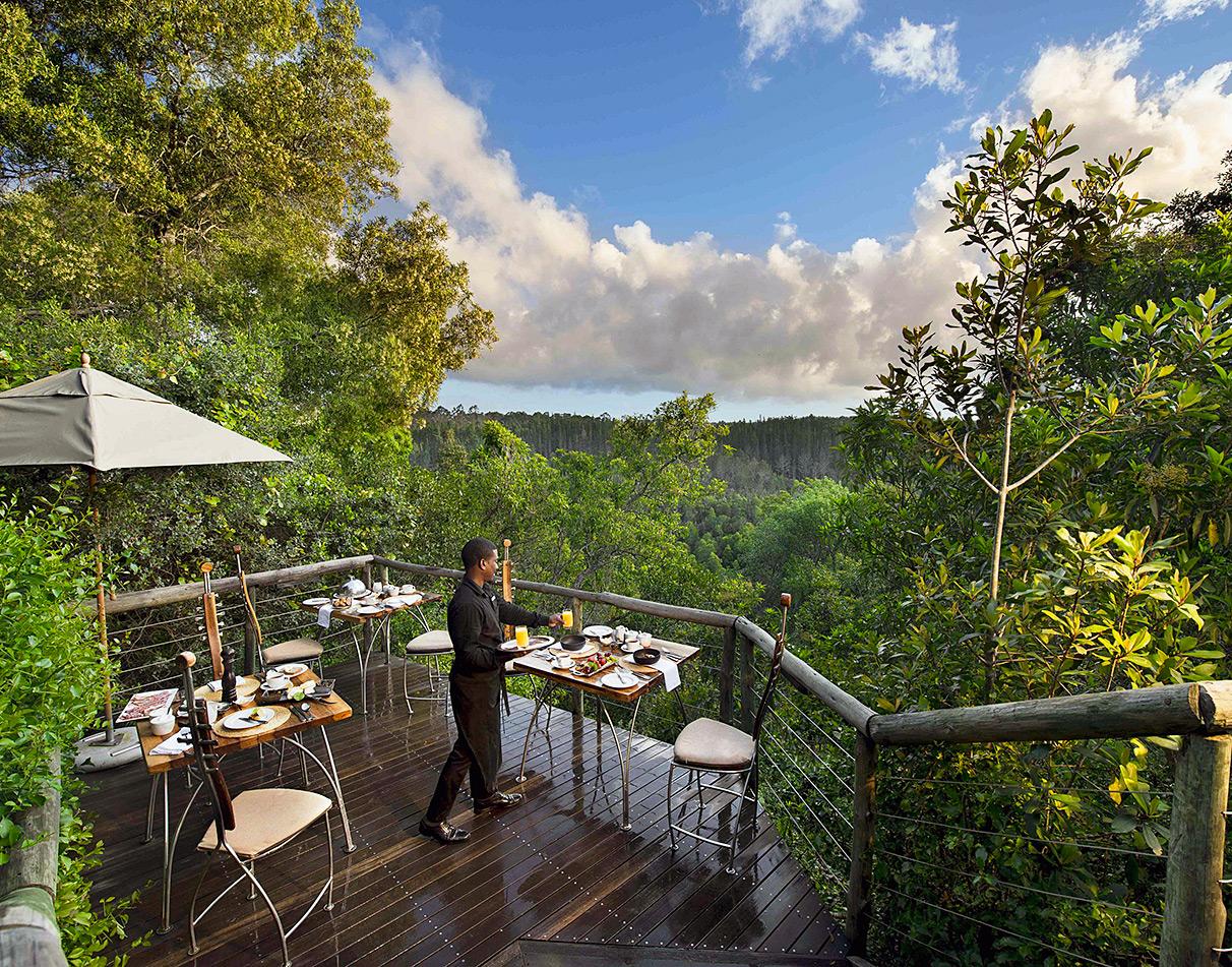Tsala Tree Top Lodge terrace overlooking the forest canopy.