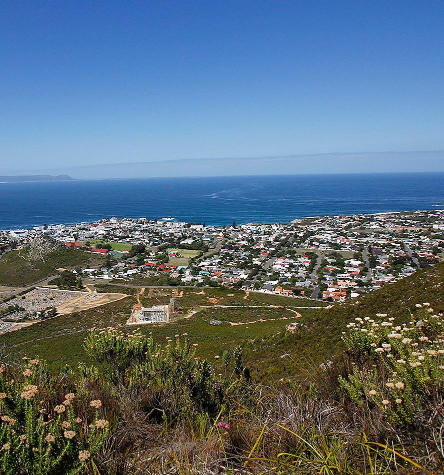 Hermanus