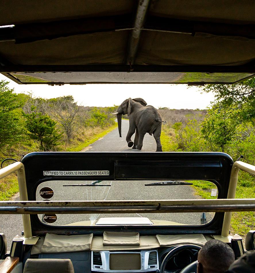iSimangaliso Wetland Park