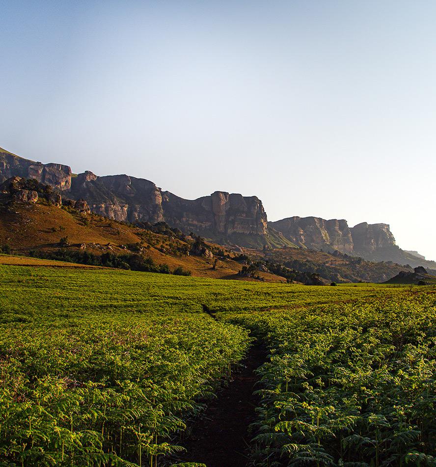Drakensberg
