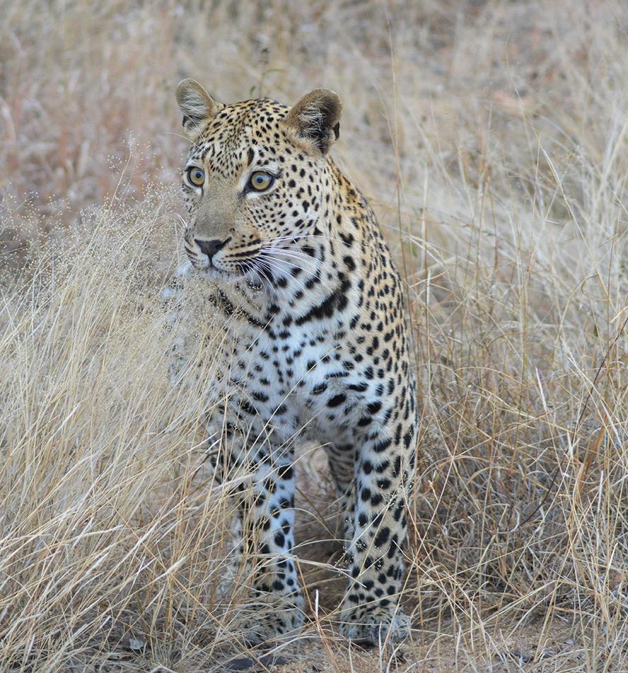 Kruger National Park