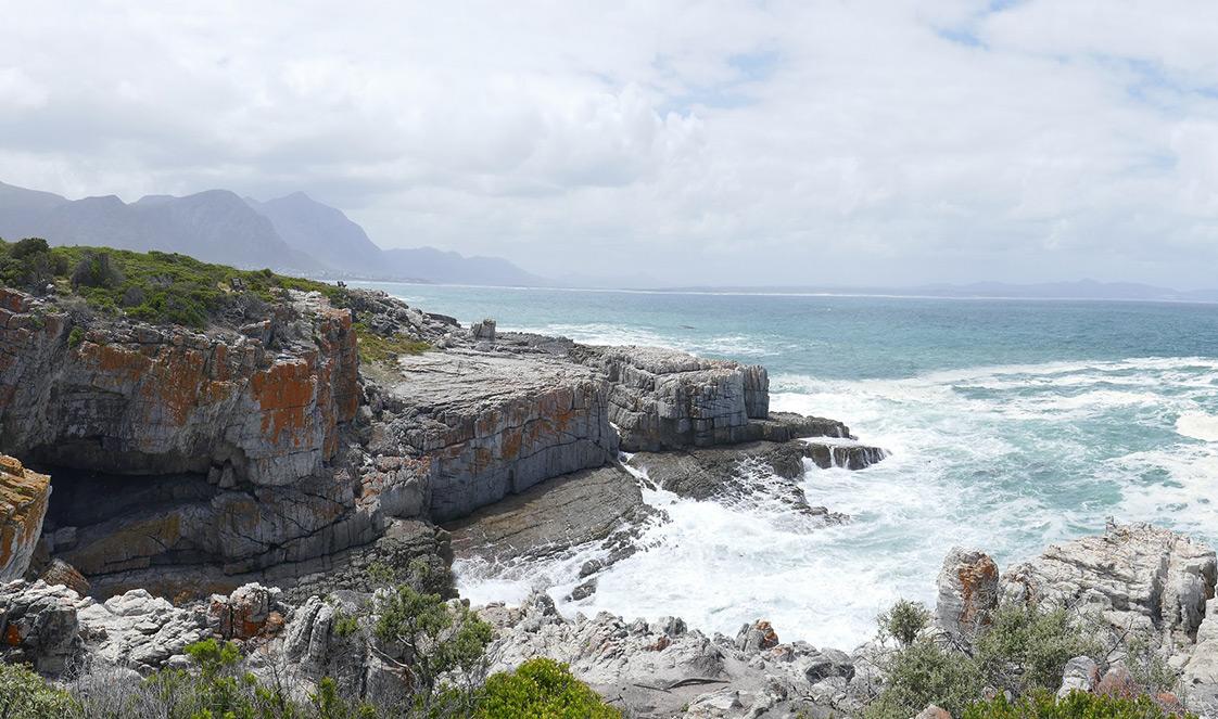 Rugged coastline of South Africa.