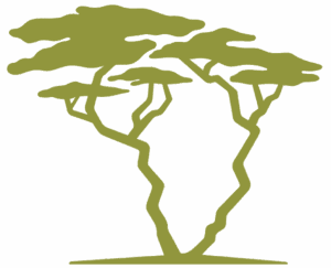 SouthAfrica-Experience logo