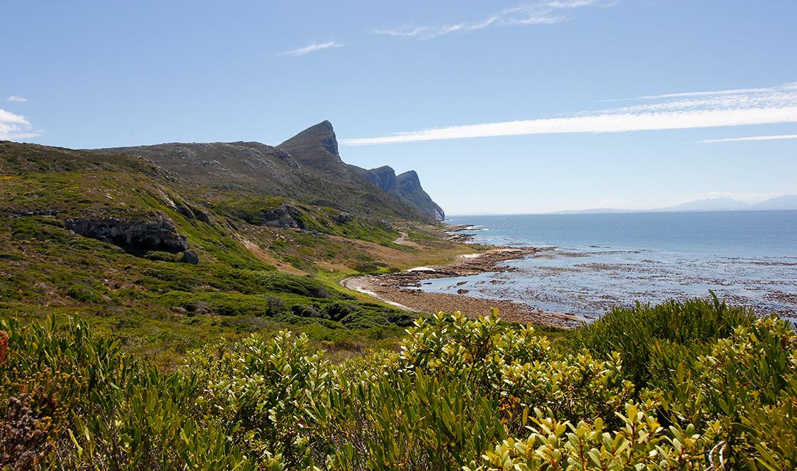 Cape of Good Hope landscape.
