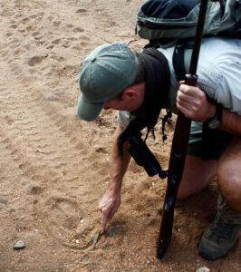 Armed guide crouching to point out animal tracks in the sand.