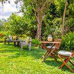 Gecko Lodge garden with outdoor seating among lush greenery.