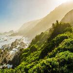 Tsitsikamma coastal hiking trail with ocean and forest views.