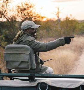 Safari guide leads the game drive and points out wildlife sightings while sharing is knowledge with the guests.