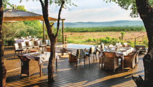 The exterior wooden terrace at Madikwe Hills with views straight into the bush.