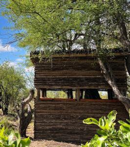 Photographic hide surrounded by trees at Makumu Game Lodge.
