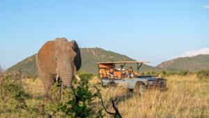 A family on a game drive vehicle at Royal Madikwe Big Elephant Private Reserve.
