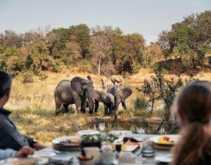 Guests enjoying breakfast with elephants at Simbavati River Lodge