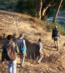 Small group following a guide on a walking safari through the bush.
