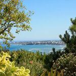 Hermanus coastline and bay viewed from the cliff path.