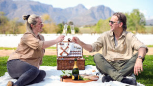 A happy couple cheersing on a romantic picnic date in the winelands.