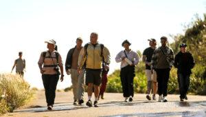 Small hiking group walking along a sunlit coastal path through fynbos on a Cape Town hiking experience.