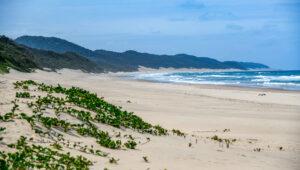 Large wild beach near Isimangaliso Wetland Park.