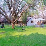 Garden and exterior of The Safari Club, Johannesburg.