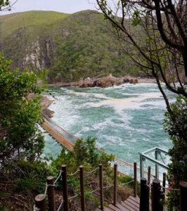 View of the suspension bridge in Tsitsikamma National Park, overlooking the ocean.