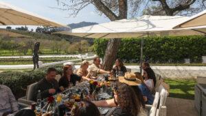 Small group wine tasting experience on a vineyard terrace, South Africa.