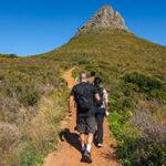 Small group on a hike towards Lion's Head.
