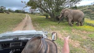 Elephant sighting while on a game drive with Zuurberg Mountain Village.