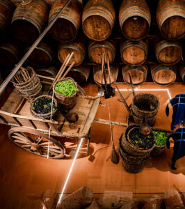 Antique grape harvest cart and wine barrels in a Winelands cellar, South Africa.