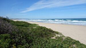 Path leading to a sandy beach along the coast.