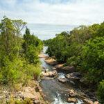 River stream surrounded by green bush nearby the Blyde River Canyon.