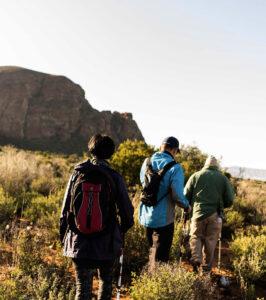 Hikers walking mountain trail, Route 62, South Africa.