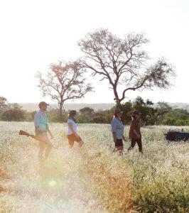 Guided bush walk safari at Londolozi, Sabi Sand Game Reserve.