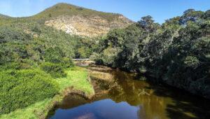 Landscape shot of natures Valley, Plettenberg Bay, South Africa.