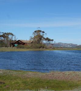 Red wooden guesthouse beside a tranquil lagoon surrounded by trees on the Garden Route, South Africa.
