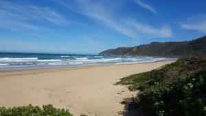 Empty sandy beach with rolling waves and coastal hills on the Garden Route, South Africa.