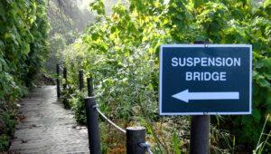 Wooden path leading to the suspension bridge at Storms River, Tsitsikamma.