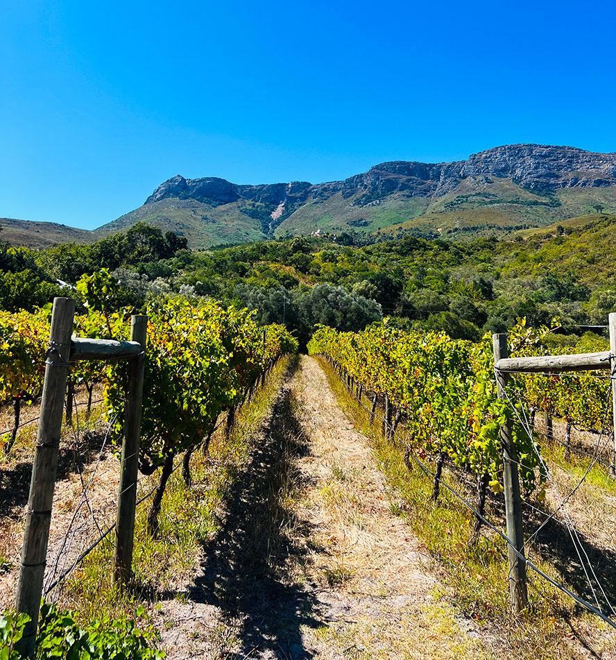 Stellenbosch